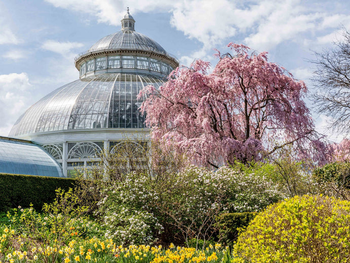 4 Victorian Gardens You Can Visit Today!